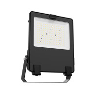 ΠΡΟΒΟΛΑΙΑΣ ENDURANCE LED 100W - 4000K - 15500Lm - 100-277V AC - IK08 - 5YRS - IP66 - BLACK