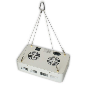 ΠΡΟΒΟΛΕΑΣ LED PLANT GROW 100W - IK08 - IP20