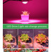 ΠΡΟΒΟΛΕΑΣ LED PLANT GROW 30W - IK08 - IP65