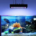 ΠΡΟΒΟΛΕΑΣ LED CORAL FISH GROW 150W - IK08 - IP20