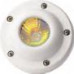 SPOT ΠΙΣΙΝΑΣ & ΣΥΝΤΡΙΒΑΝΙΟΥ SPA-PC HALOGEN 20W - 12V AC - MR16 - IP68