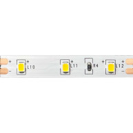 ΤΑΙΝΙΑ LED 4.8W - 6500K - 12V - IP65